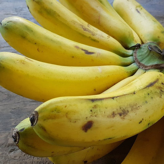 Organic Bananas, 2 lb Bunch